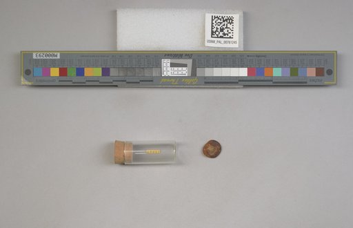NSF ADBC EPICC TCN