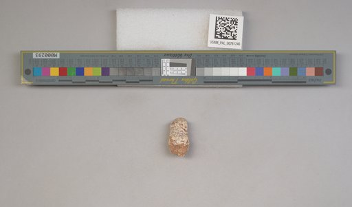 NSF ADBC EPICC TCN