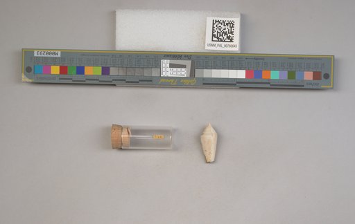 NSF ADBC EPICC TCN