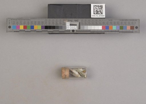 NSF ADBC EPICC TCN
