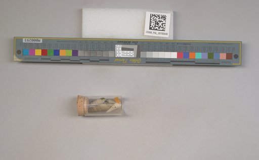 NSF ADBC EPICC TCN