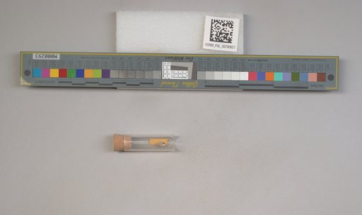 NSF ADBC EPICC TCN