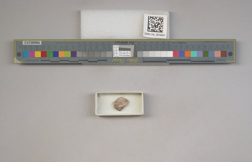 NSF ADBC EPICC TCN