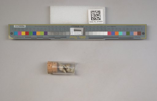 NSF ADBC EPICC TCN