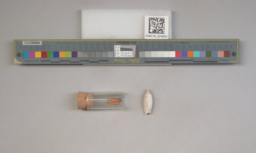 NSF ADBC EPICC TCN