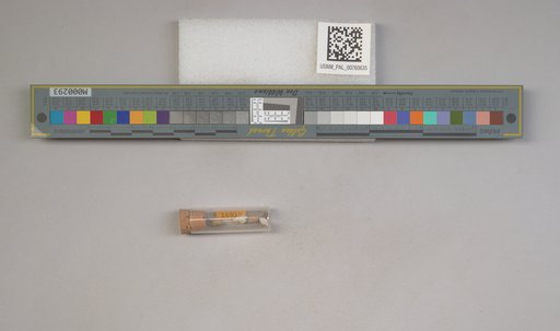 NSF ADBC EPICC TCN
