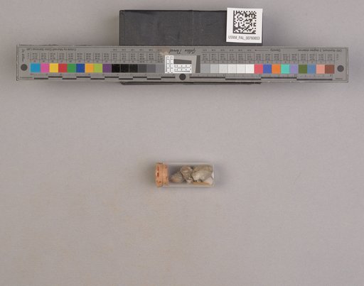NSF ADBC EPICC TCN