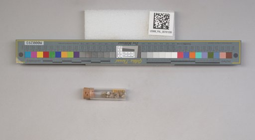 NSF ADBC EPICC TCN