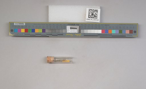 NSF ADBC EPICC TCN