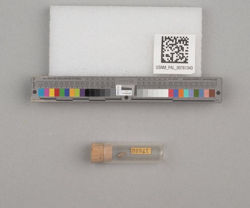 NSF ADBC EPICC TCN
