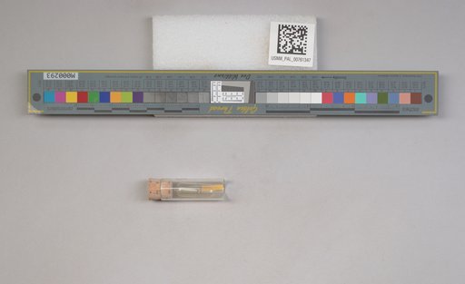 NSF ADBC EPICC TCN