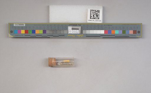 NSF ADBC EPICC TCN
