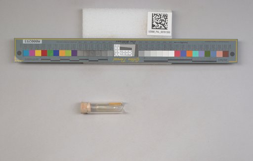 NSF ADBC EPICC TCN