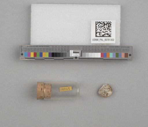 NSF ADBC EPICC TCN