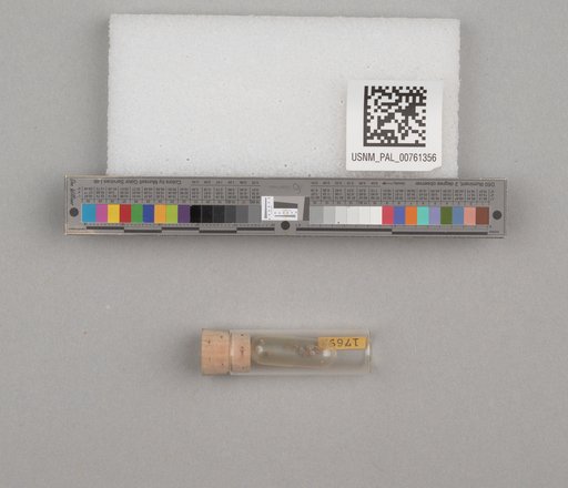 NSF ADBC EPICC TCN