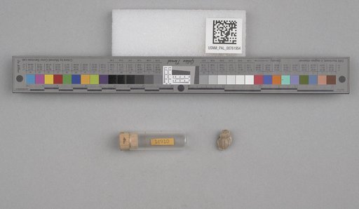 NSF ADBC EPICC TCN