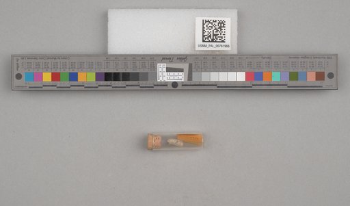 NSF ADBC EPICC TCN