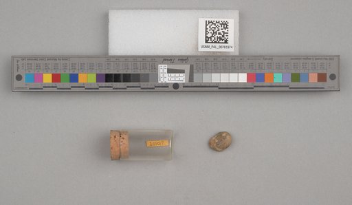 NSF ADBC EPICC TCN