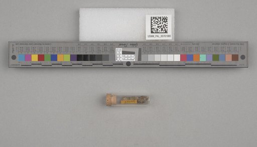 NSF ADBC EPICC TCN
