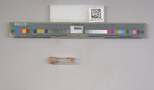 NSF ADBC EPICC TCN