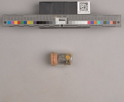 NSF ADBC EPICC TCN