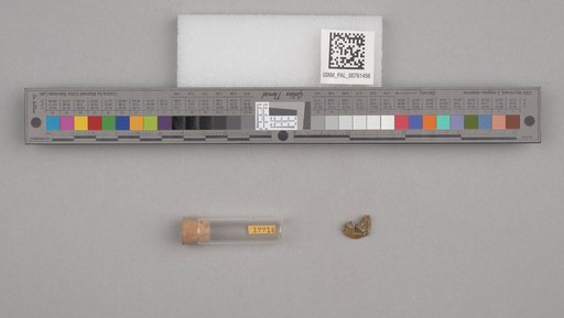 NSF ADBC EPICC TCN