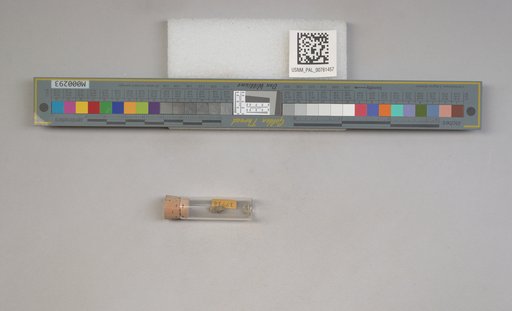 NSF ADBC EPICC TCN