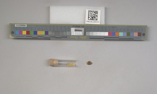 NSF ADBC EPICC TCN
