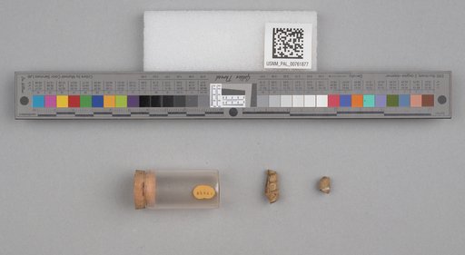 NSF ADBC EPICC TCN