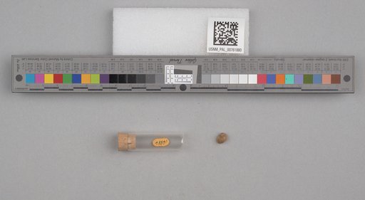 NSF ADBC EPICC TCN