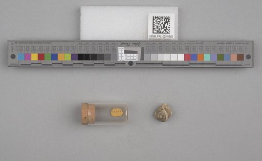 NSF ADBC EPICC TCN