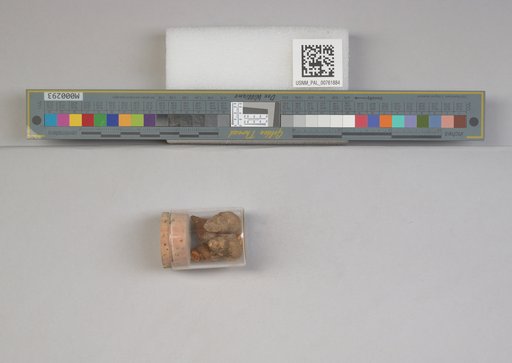 NSF ADBC EPICC TCN