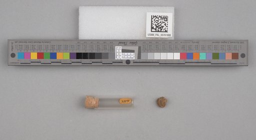 NSF ADBC EPICC TCN