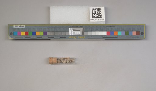 NSF ADBC EPICC TCN