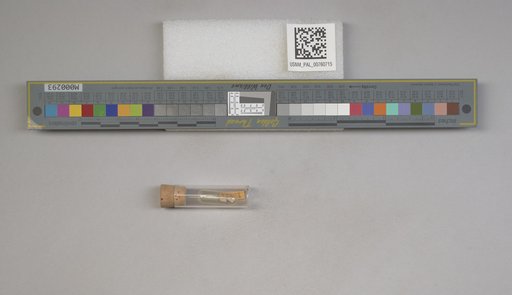 NSF ADBC EPICC TCN