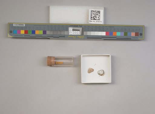 NSF ADBC EPICC TCN