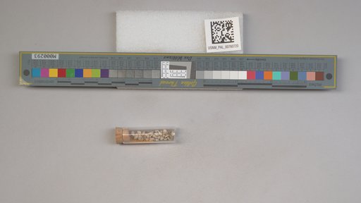 NSF ADBC EPICC TCN