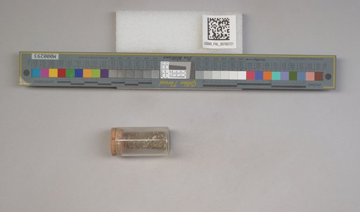 NSF ADBC EPICC TCN