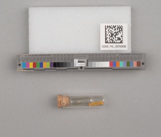 NSF ADBC EPICC TCN