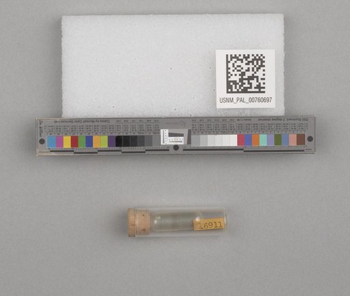 NSF ADBC EPICC TCN