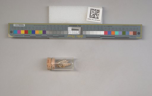NSF ADBC EPICC TCN