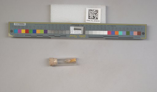 NSF ADBC EPICC TCN