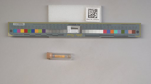 NSF ADBC EPICC TCN