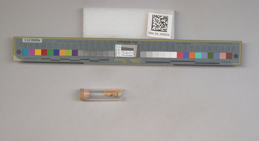 NSF ADBC EPICC TCN