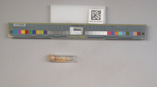 NSF ADBC EPICC TCN
