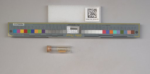 NSF ADBC EPICC TCN