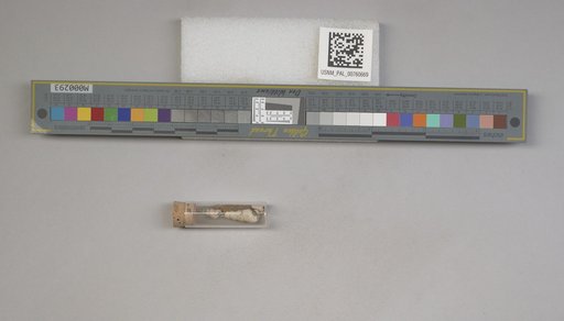 NSF ADBC EPICC TCN