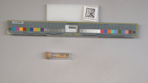 NSF ADBC EPICC TCN