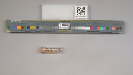 NSF ADBC EPICC TCN