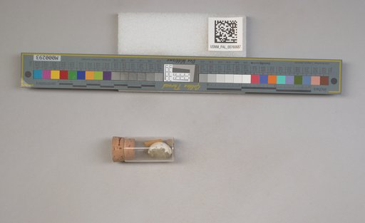 NSF ADBC EPICC TCN